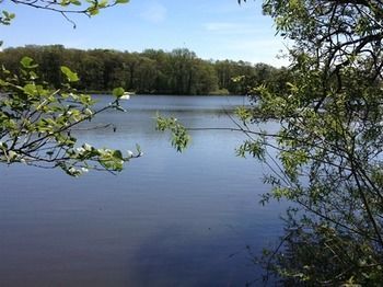 Cleveley Mere Luxury Waterside Lodges Scorton  Bagian luar foto